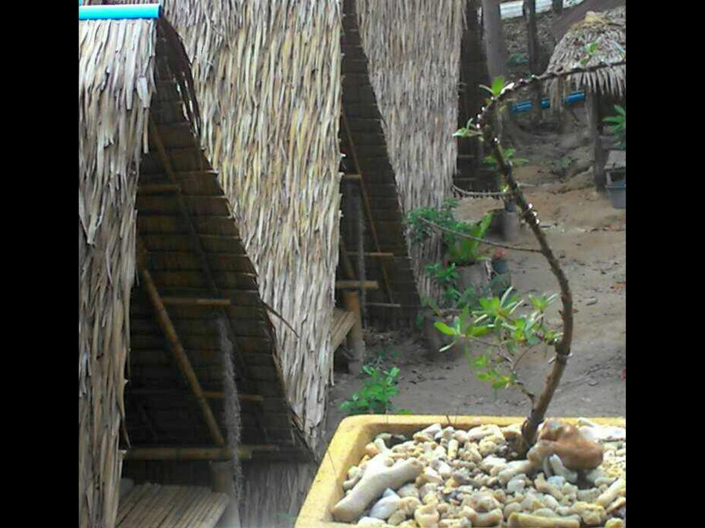 Lipe Camping Zone מראה חיצוני תמונה