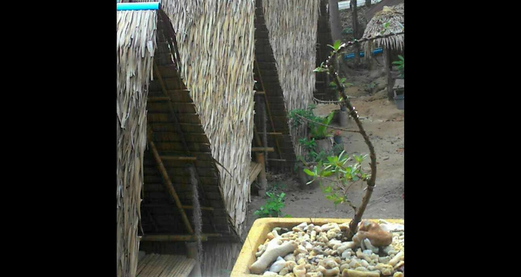 Lipe Camping Zone מראה חיצוני תמונה
